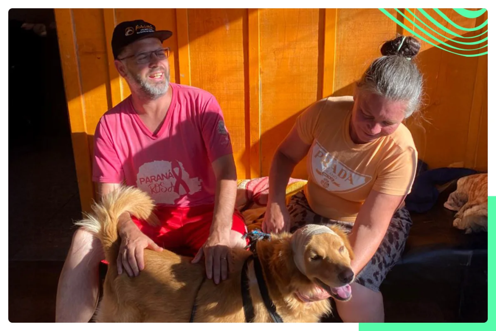 O cãozinho Didi foi resgatado, recebeu tratamento e está com os tutores