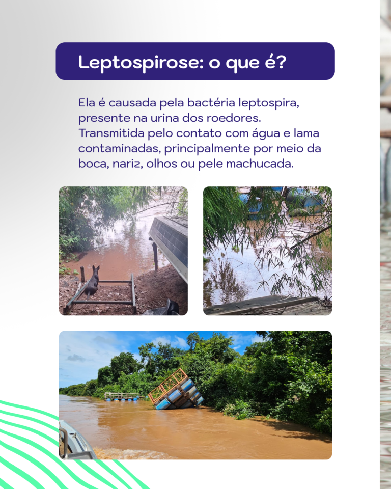 imagem_2026-03-16_093819507